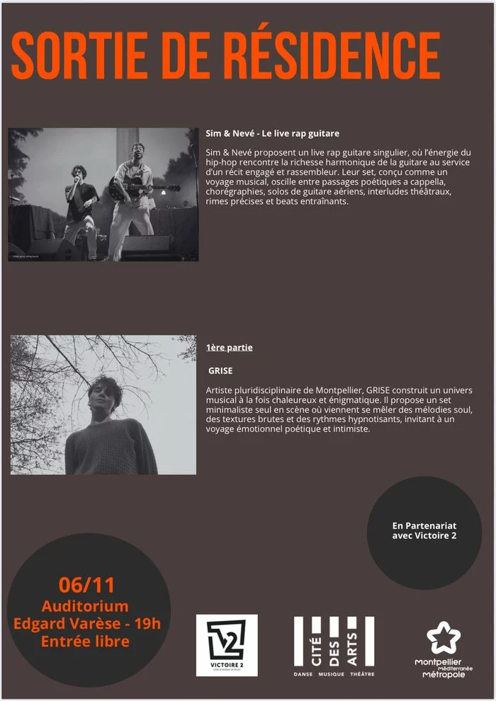 Sim & Nevé en concert à l'auditorium du conservatoire de Montpellier le vendredi 6 novembre