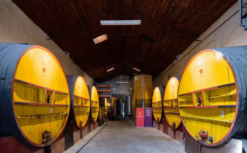 VIGNOBLE EN SCENE - DEGUSTATION VIEUX MILLESIMES A LA CAVE DE L'ETOILE