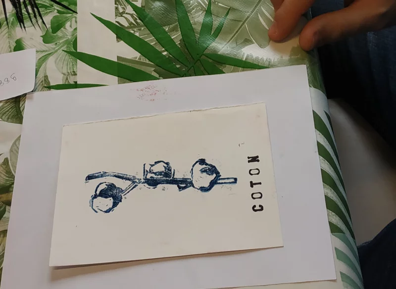 Mon petit herbier imprimé - AMI