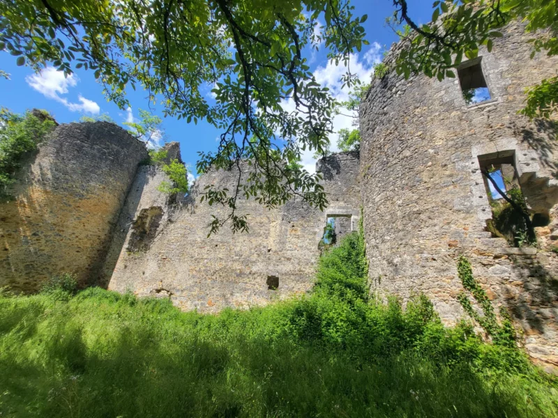 Conférence 3D et visite du château de la Renaudie