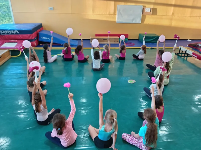 Gala du club gymnique 87