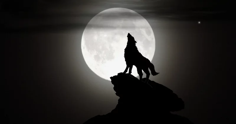 Loup-Garou de Thiercelieux - enfants
