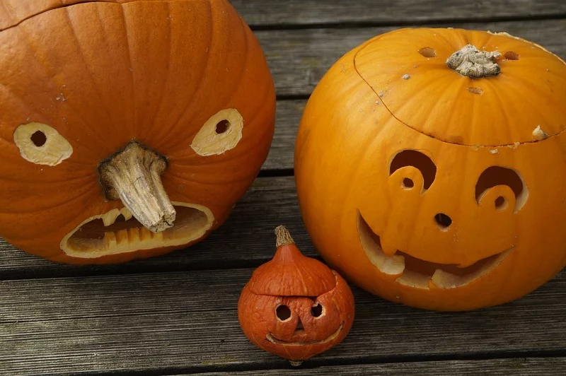 CONCOURS DE CITROUILLES DÉCORÉES