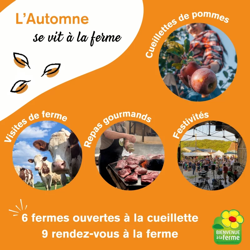 AUTOMNE A LA FERME