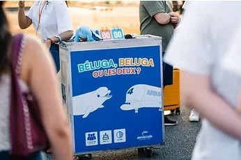 Béluga, Beluga ou les 2 ? - Du 20 au 27 août