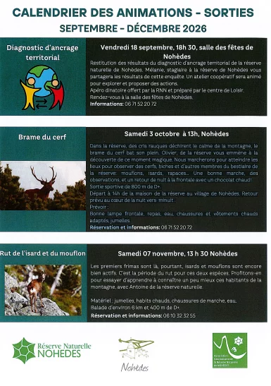 RUT DE L'ISARD ET DU MOUFLON