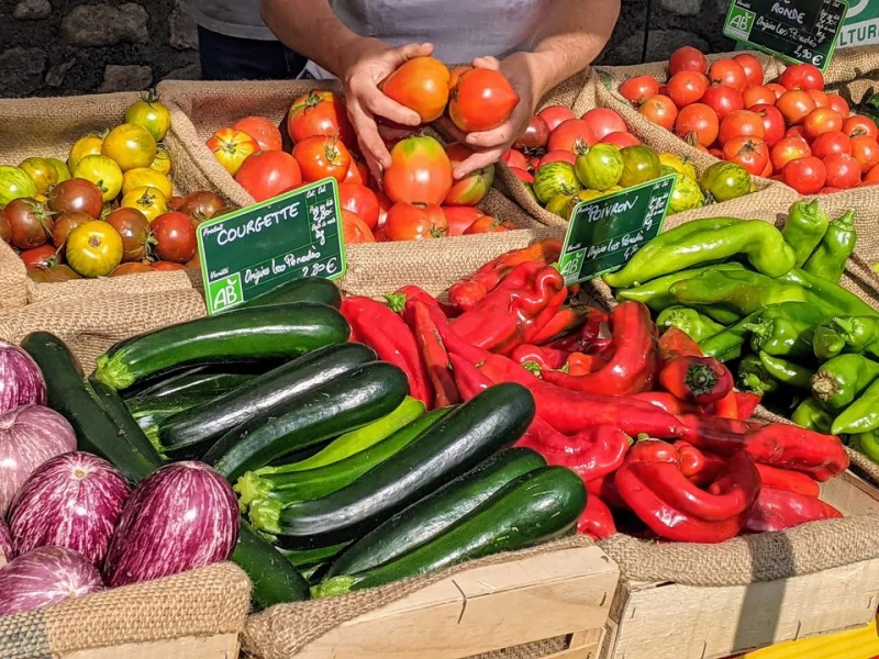 MERCAT DEL SOL