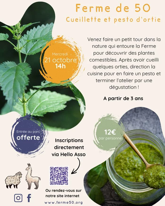 Ateliers familles - Cueillette et pesto d'orties