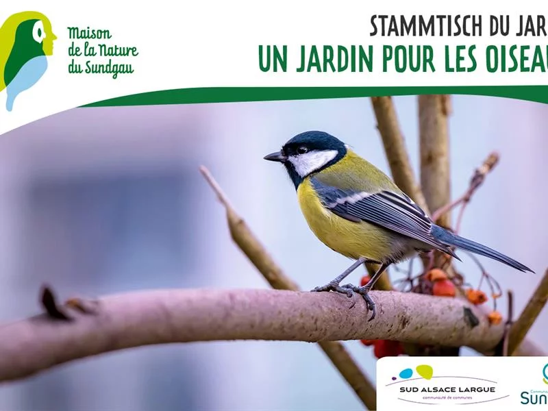 Stammtisch - Un jardin pour les oiseaux