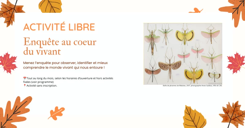 Le musée numérique : l'automne et les petits bêtes