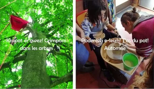 Camps d'automne en breton