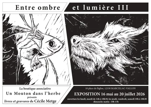Exposition "Entre ombre et lumière"