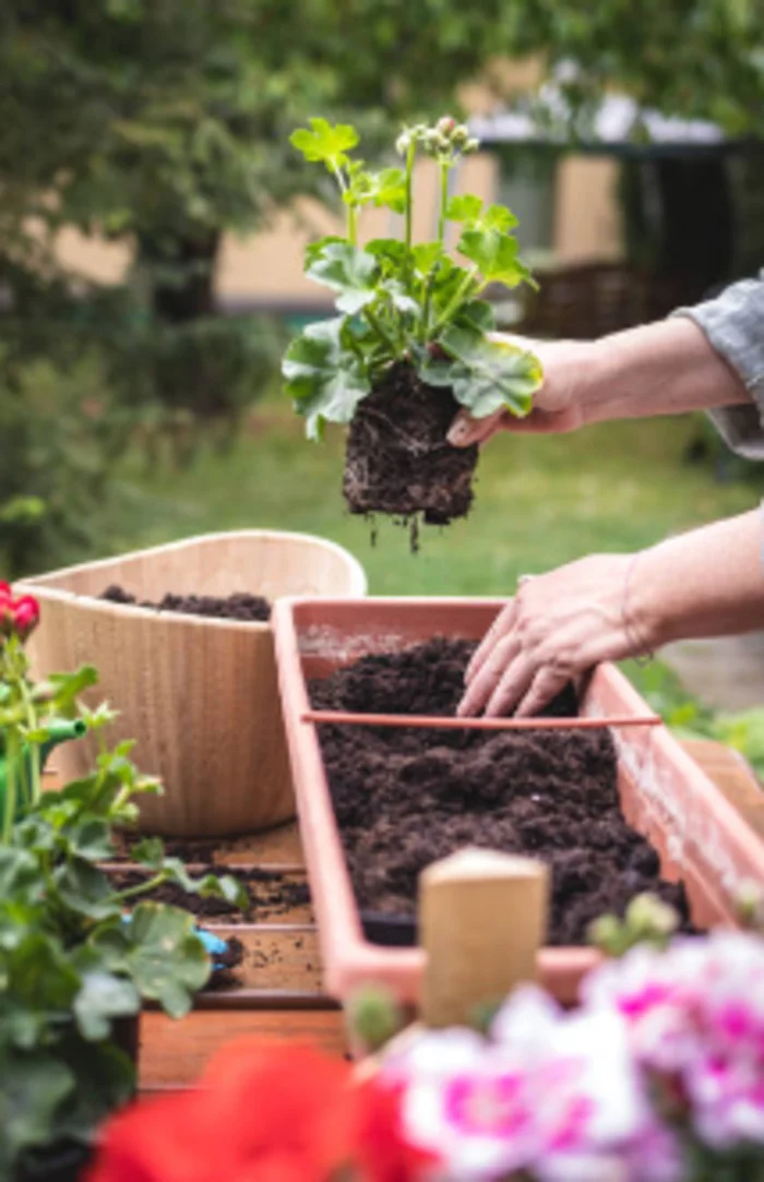 Atelier jardinage, réparation et rénovation de votre mobilier