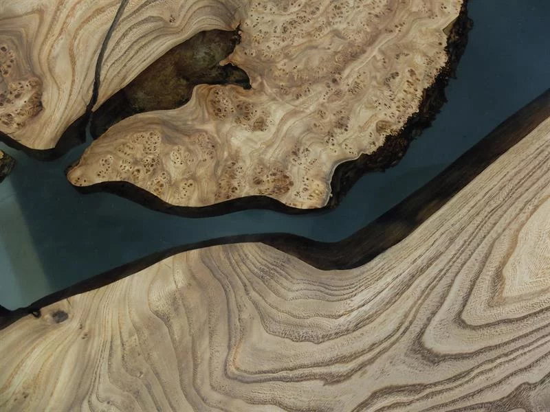 Exposition : Visions d'arbre