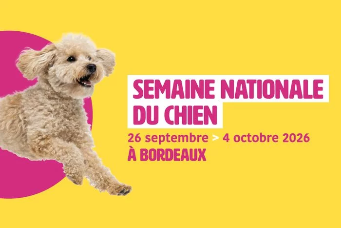 Atelier enfants – parents « Prévention des risques de morsures»