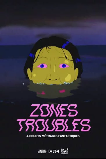 ZONES TROUBLES