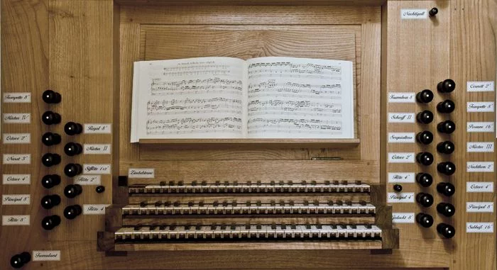 Vendredi de l'Orgue en l'église Saint-Martin