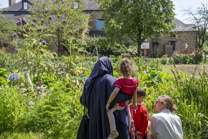 Aux racines du potager
