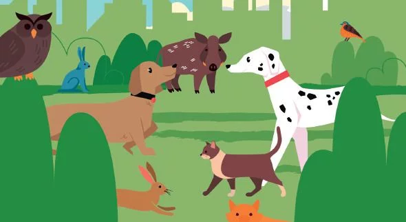 Village associatif "Bien-être animal"