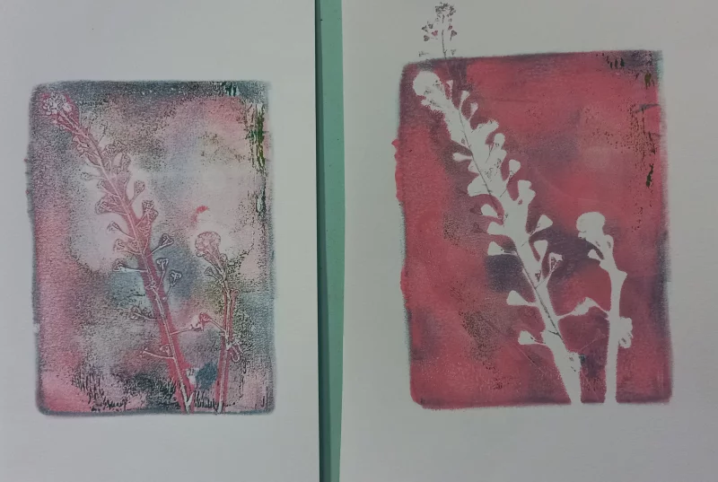 Atelier Gelly Print (impression végétale)  - Atelier pour les 7/12 ans