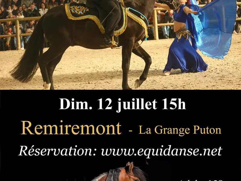 Spectacle EquiDanse