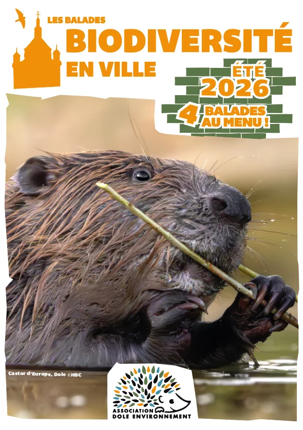 Balade biodiversité en ville - L'esquissée