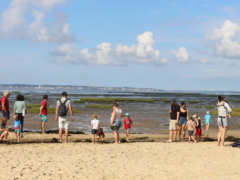 La plage des petits explorateurs à Lanton