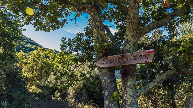RANDO ACCOMPAGNEE : DE BAILLESTAVY A VALMANYA PAR DE BEAUX SENTIERS EN FORET