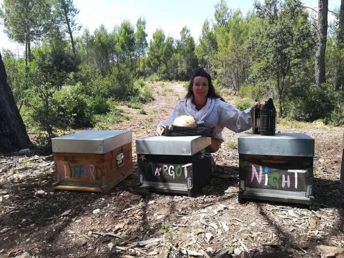 Découverte de l'apiculture autours de Marseille