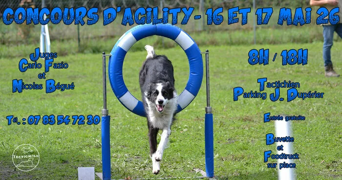 Concours d'agility