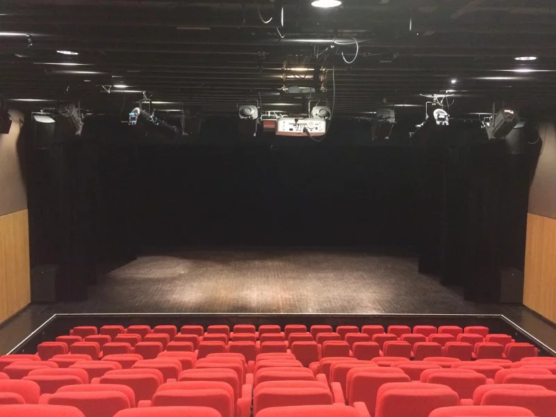 Spectacle seul en scène : Kosh à la Halle à Vire Normandie