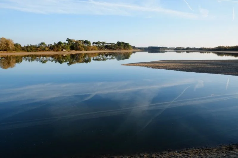 Histoire des paysages de Brenne