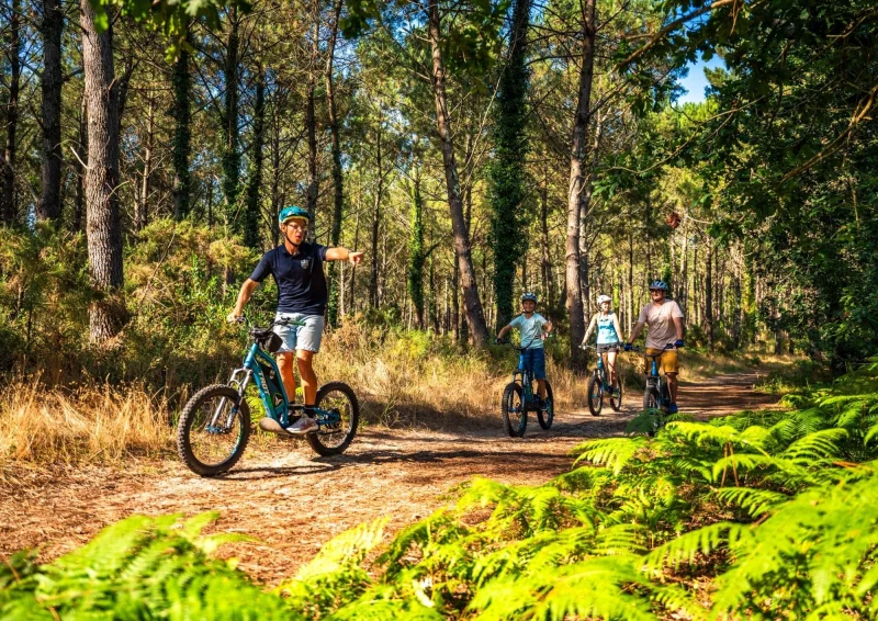 Découverte de la forêt en trottinette électrique