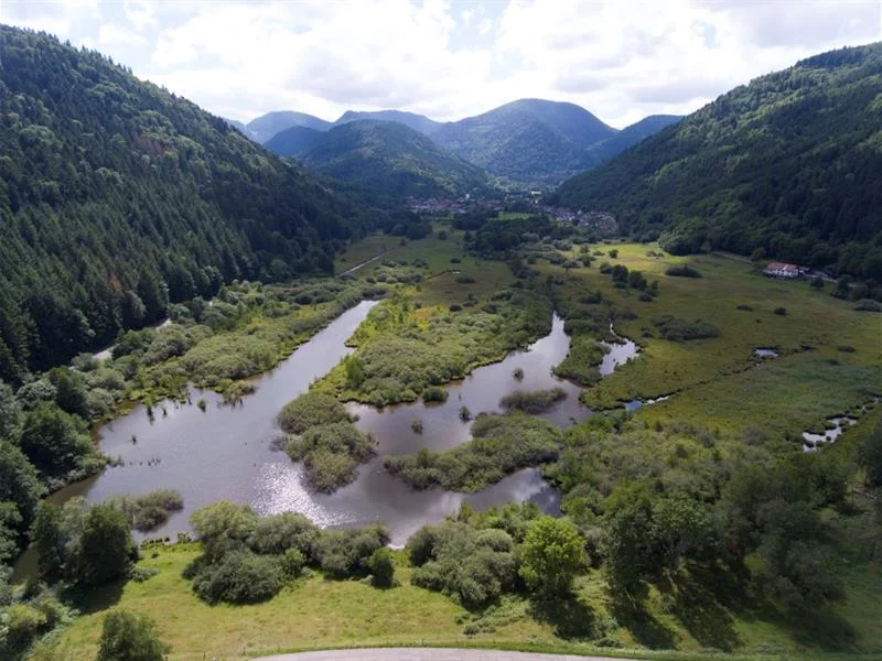 Balade commentée - autour du See d'Urbès