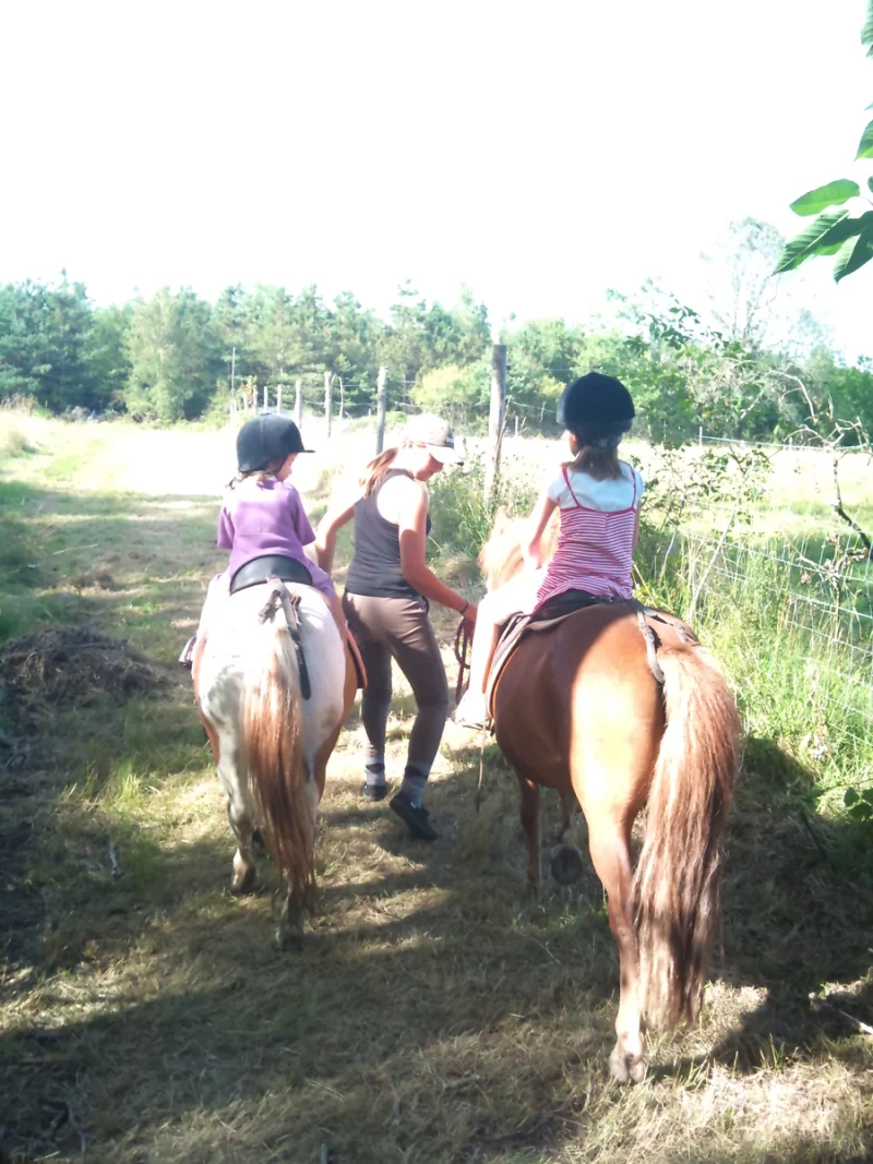 Demi-journée immersion avec un cheval