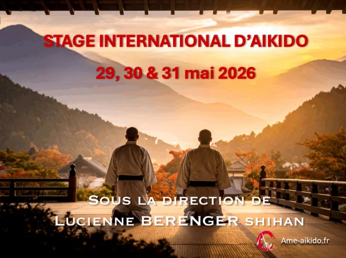 Stage d'Aikido International