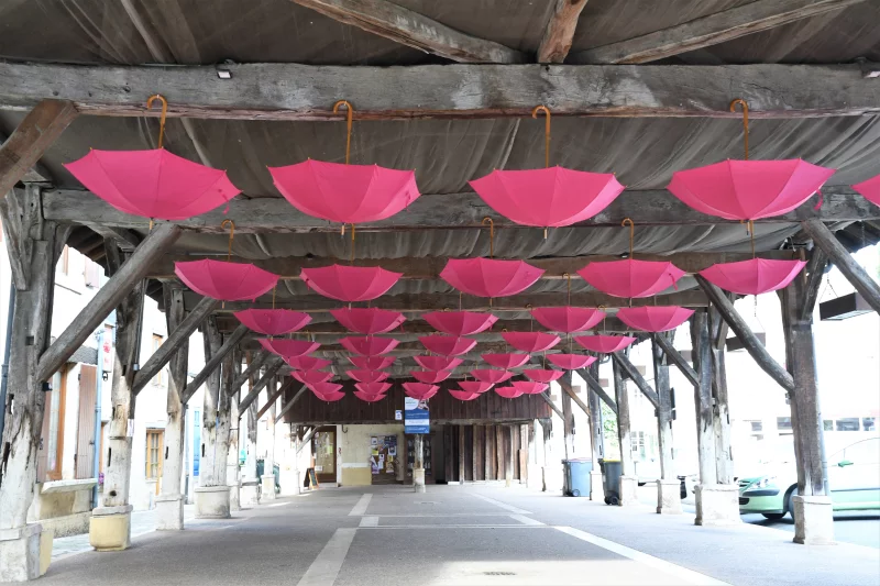 Octobre Rose: marche contre le cancer du sein
