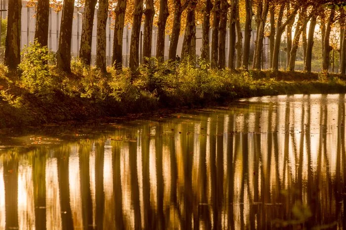 Perspectives au fil de l'eau : le Canal du Midi
