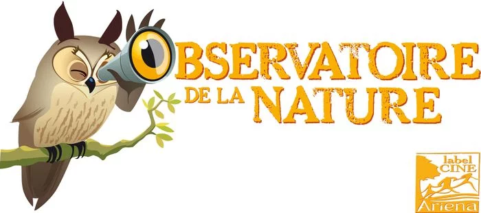 La nuit de la chauve-souris