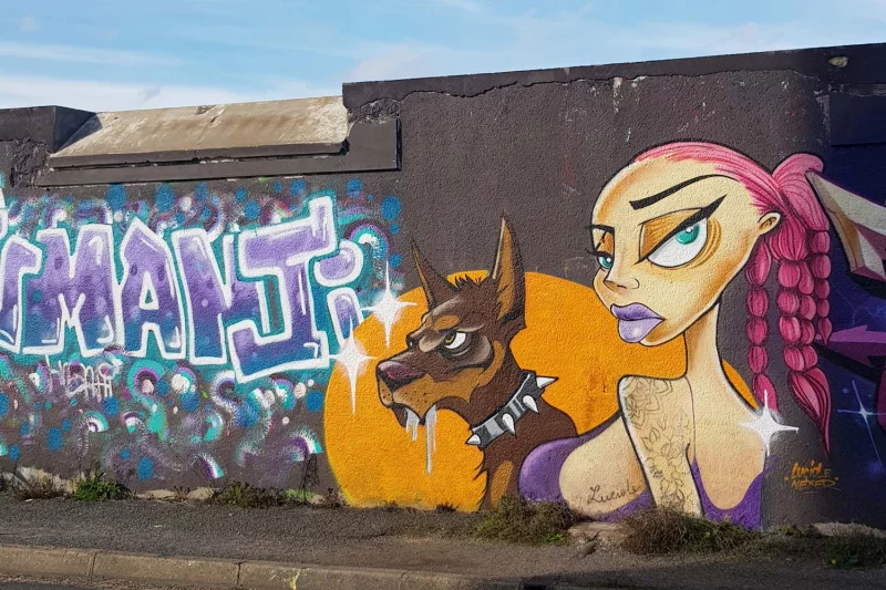 Street-Art : Le Street Art au Sanitas
