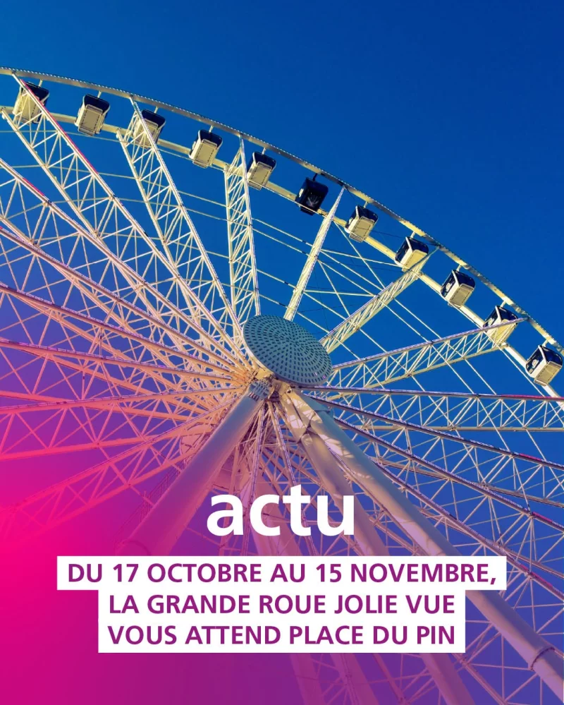 Grande roue Jolie Vue