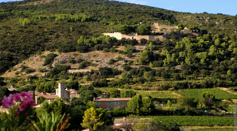 UN MOMENT DE TRANSMISSION ENTRE MÉMOIRE DES PIERRES ET SAVOIR-FAIRE VIGNERON