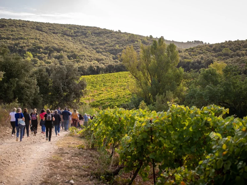 BALADE VIGNERONNE