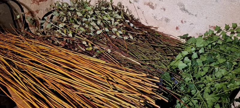 Atelier tressages sauvages