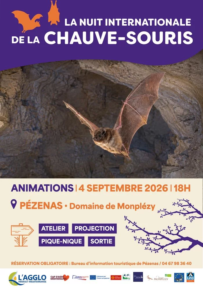 30ème Nuit internationale de la chauve-souris : venez découvrir ce précieux auxiliaire de la nature à Pézenas
