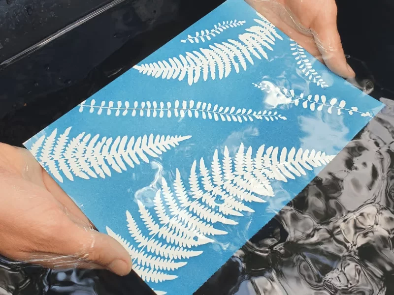 Atelier Végétal Créatif avec M.A Nature : Cyanotype