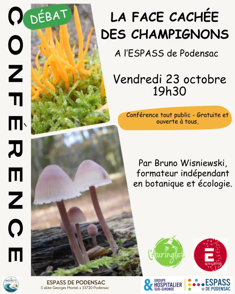Conférence : La face cachée des champignons