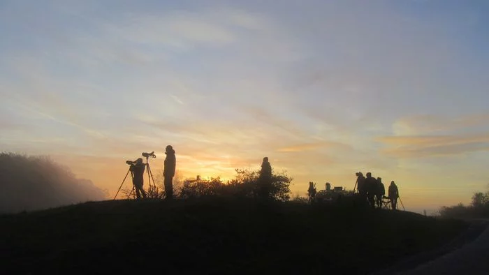 Suivi de la migration post-nuptiale des oiseaux sur la colline de Sion