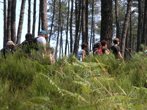 Randonnée pédestre "Le circuit du moulin de Binaou"