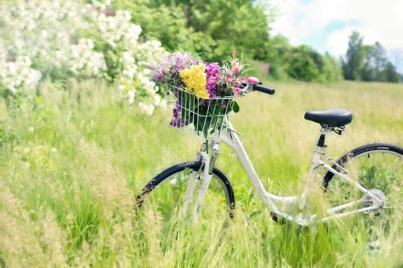 Balade décalée à vélo